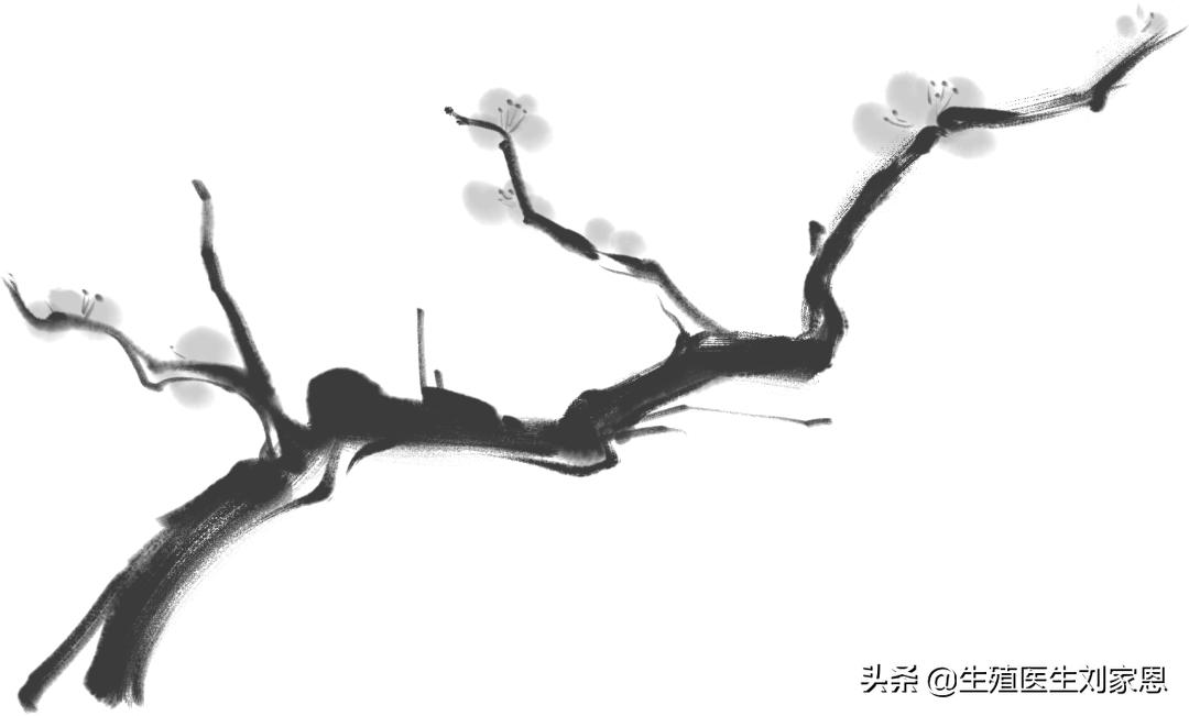 有治疗不孕不育的吗,治疗不孕的中医