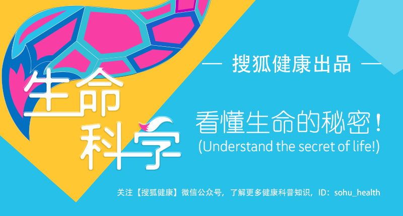 狐狸断尾能再生吗,狐狸实验的结论是什么