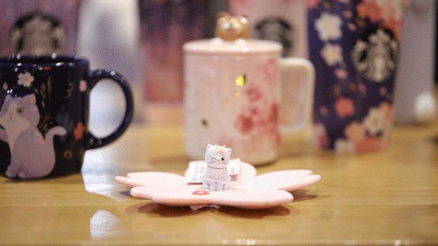 年度大戏《我为杯子狂》开演请主演们做好准备