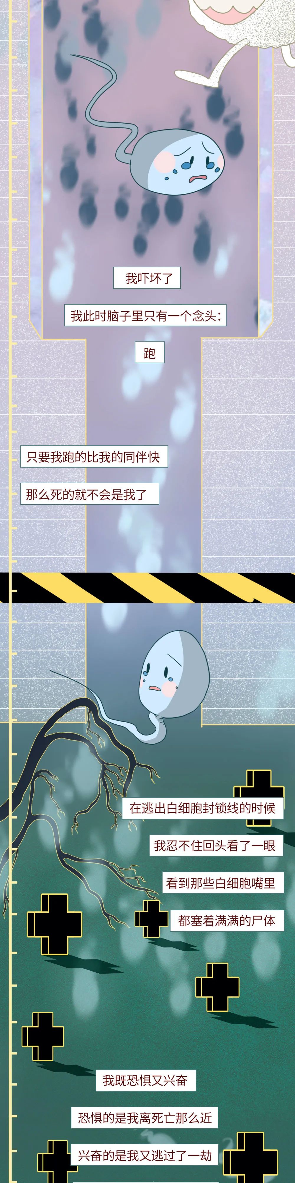 科普知识精子液化后的状态,男性精子在体内存活时间