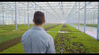 种植温室大棚一亩多少钱,四川玻璃温室大棚多少钱一平方米