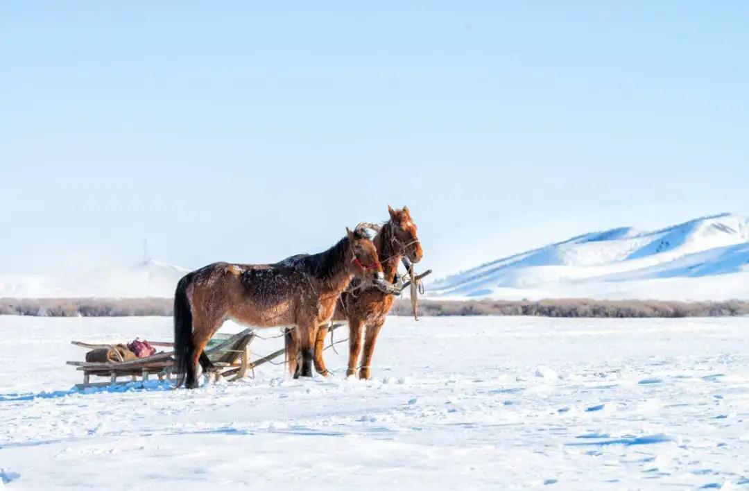 当芬兰童话遇见北欧森林：零下40℃的中国“北极”，美炸了