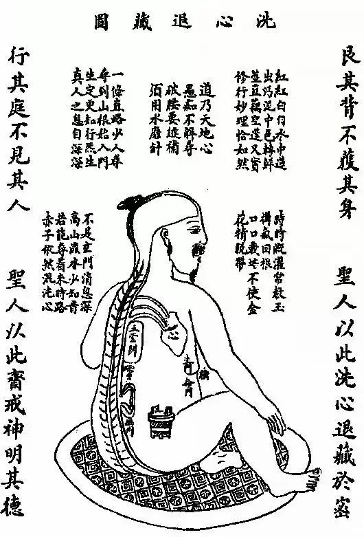 29岁头顶白发多是缺啥,头上长白发应该补什么