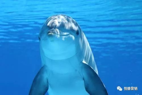 108种微商加人方法已过时，试试这些新的引流方法吧！