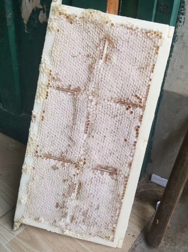 吃王浆最佳时间,食用王浆