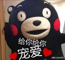 居住登记卡和居住证区别,居住证和居住证登记卡有啥区别