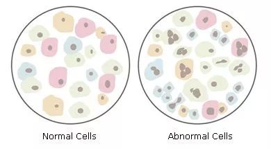 他灌醉了一只豚鼠，战胜了一种癌症，挽救了数百万女性的生命