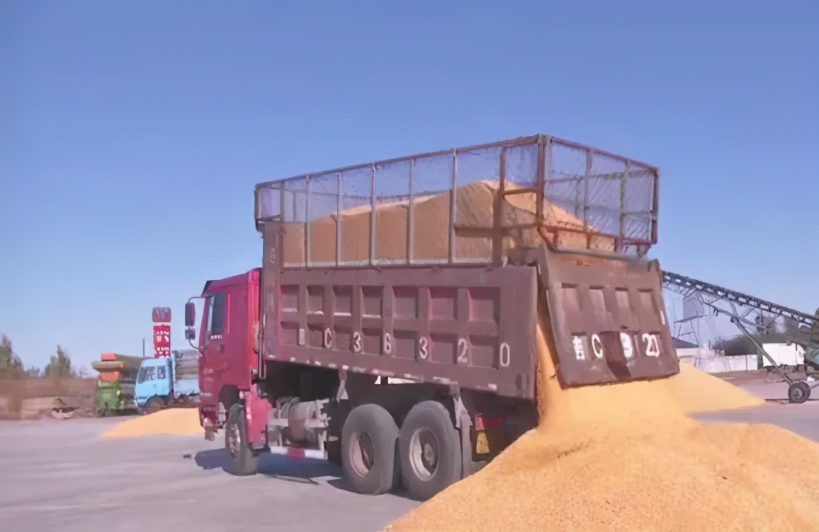 “内蒙古粮仓”通辽市：粮食增产又增收