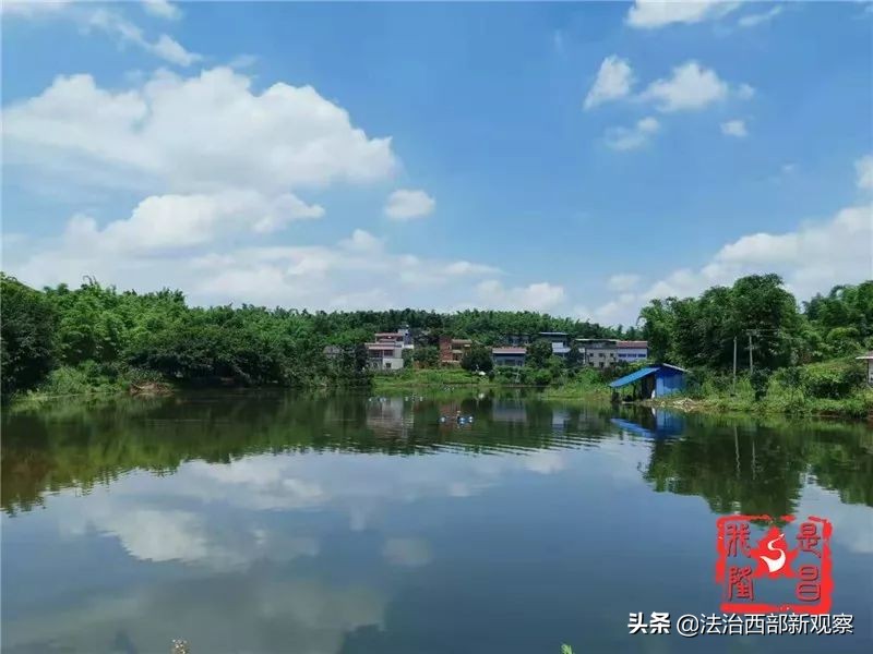 稻花香生态养殖,稻花香种植家庭农场