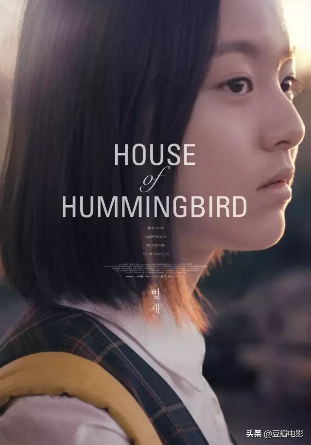 打败《寄生虫》,这部新片《蜂鸟》才是真正的年度最佳