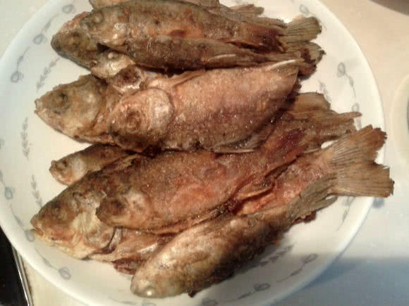 为什么有些鲫鱼吃起来有股煤油味,怎么去除河里鲫鱼的煤油味道