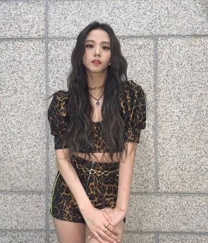 blackpink韩国爱豆粉丝,blackpink的韩国明星粉丝