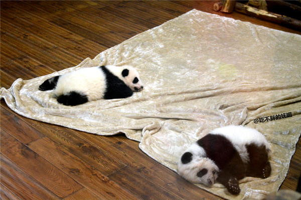 吃货夫妻结婚2周年，去成都逛吃逛吃，3天花了5600元~