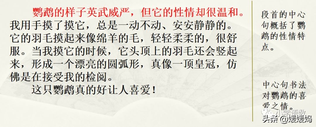 四下四单元我的动物朋友,第四单元我的动物朋友四年级上册