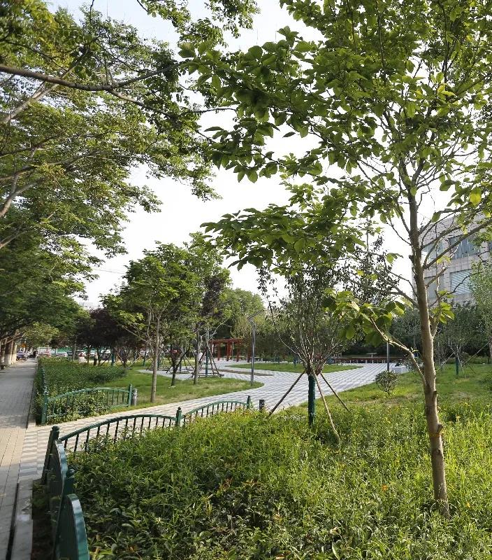 遛孩子去公园,遛娃去公园