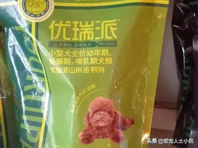 满月幼犬不吃食,刚满月幼犬不吃不喝怎么办