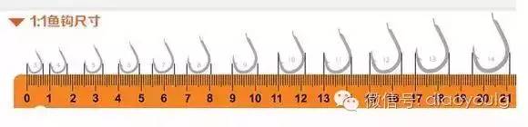 钓钩详细讲解图解大全,三钩钓鱼视频讲解