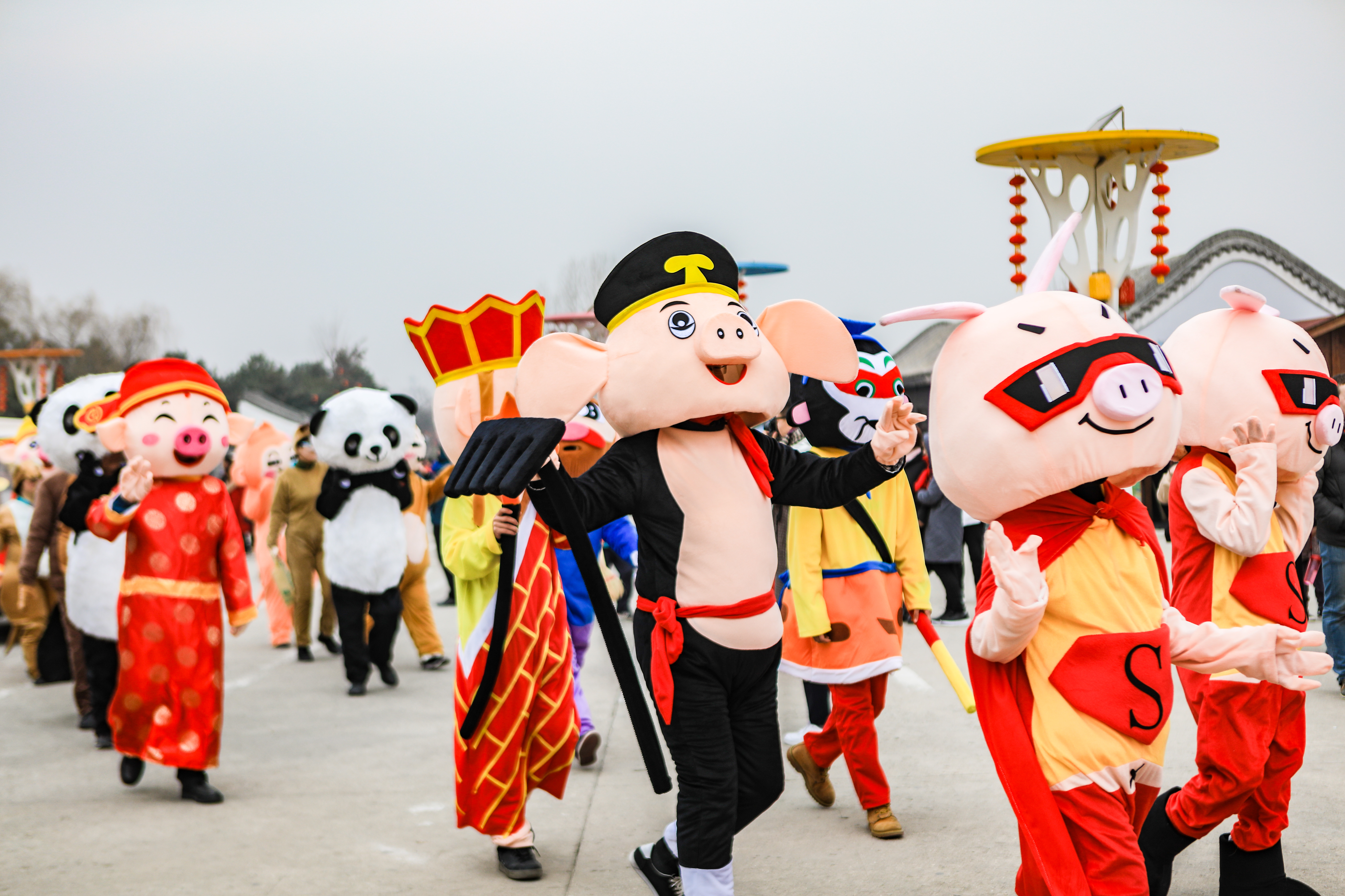 中国最大的东北虎野生动物园,秦岭野生动物园可以喂老虎么