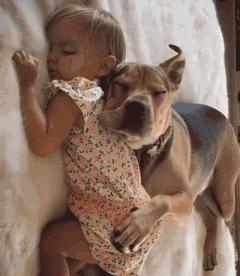 狗狗被孕妈肚子里的宝宝踢了一脚,狗狗怀孕宝宝踢肚子会生吗