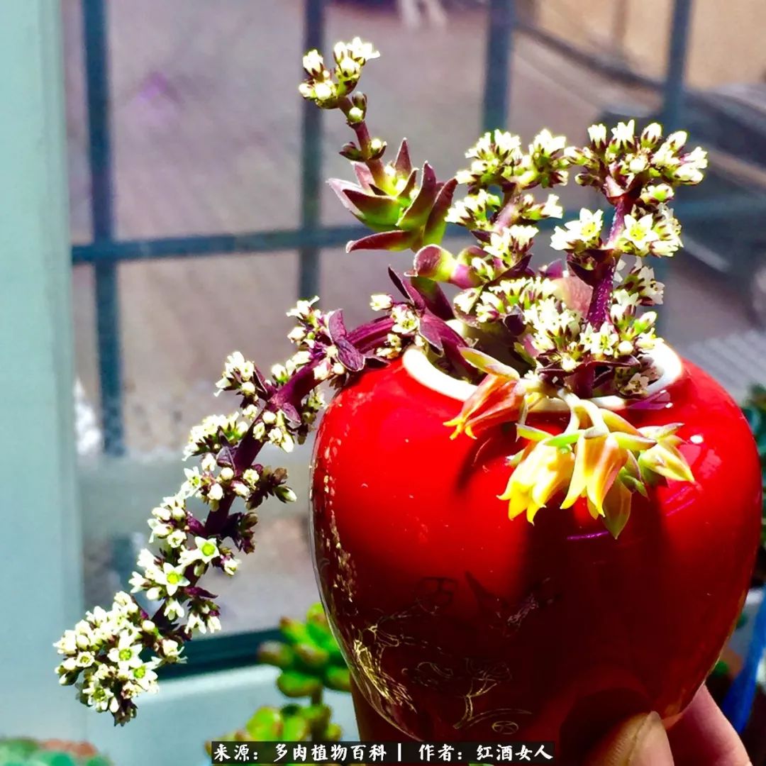 记录走过的美景留下美好的回忆,记录走过的每一段美好时光