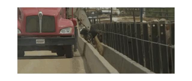 牛排等级及区分方式,常见的4种牛排分类介绍