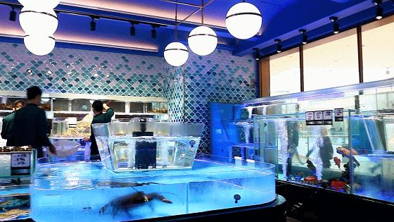 厦门90海里蒸汽海鲜自助,厦门岛内蒸汽海鲜自助