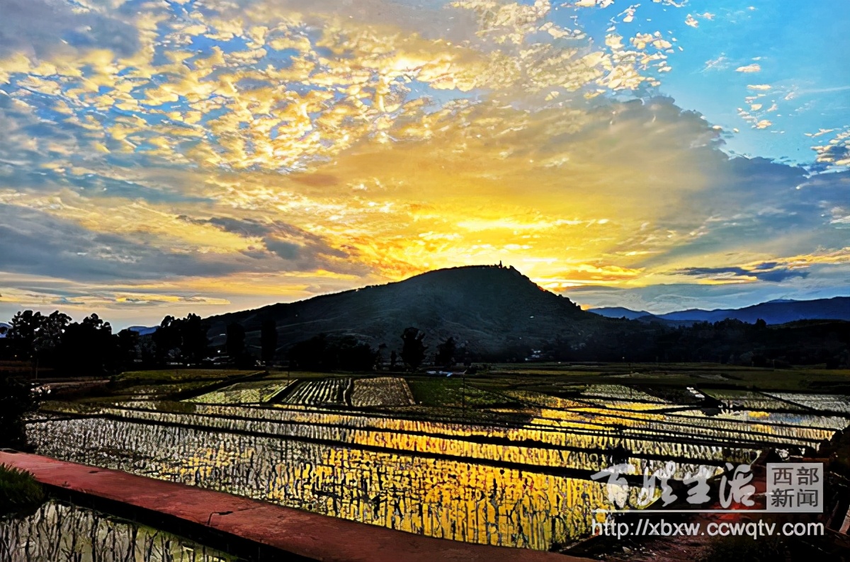 浼氱悊妤犻櫌,浼氱悊鍙ゅ煄妤犻櫌