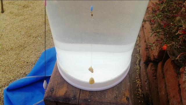 野钓最实用最快的万能调漂方法,新手野钓最简单实用调漂的方法