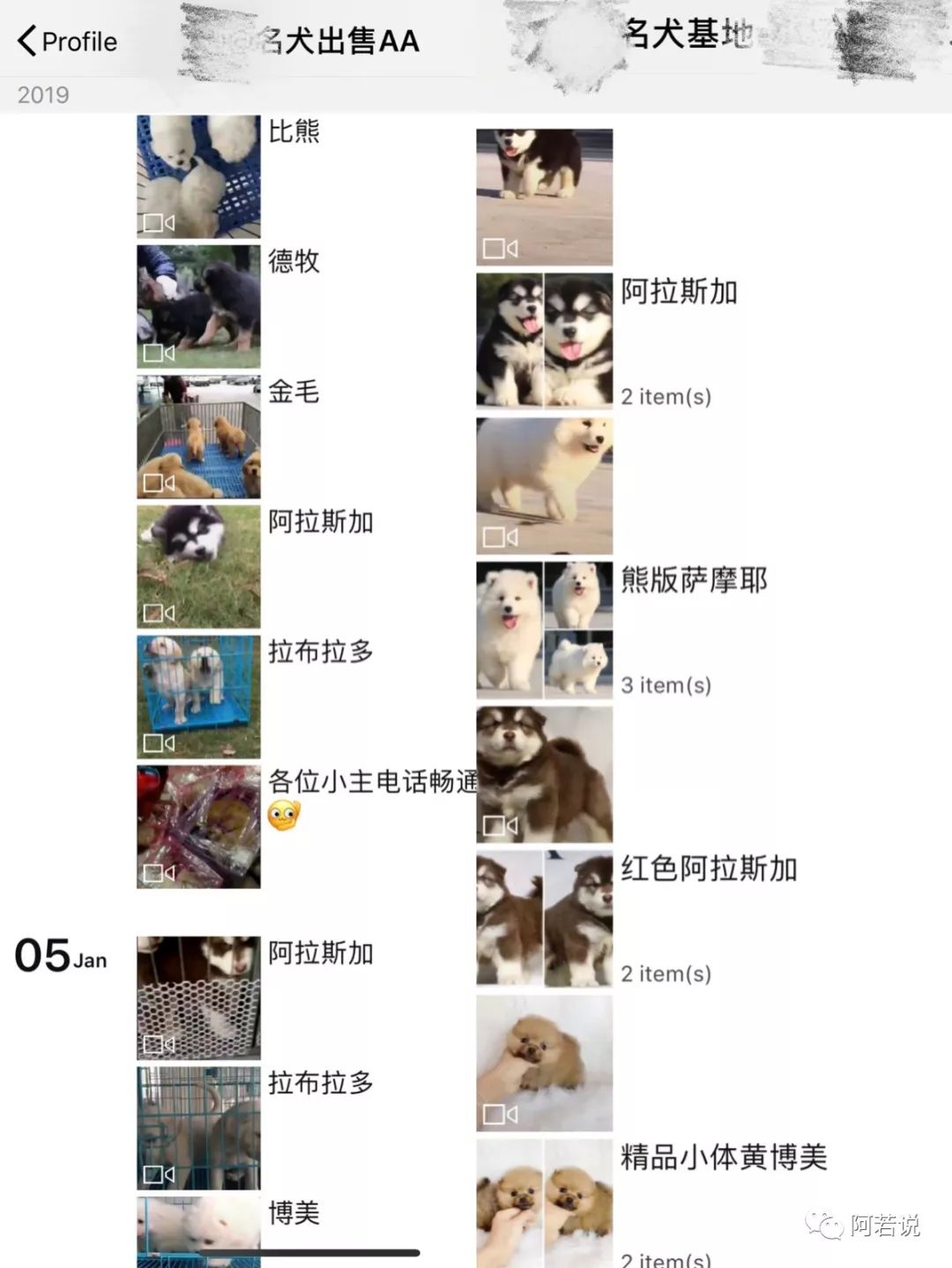 揭秘非法贩猫产业链,揭秘行业秘密