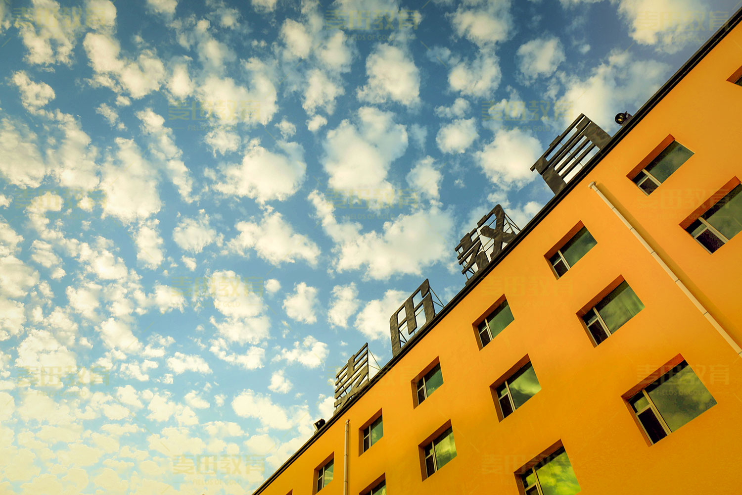 冷知识属于哪个类型,冷知识是真的吗