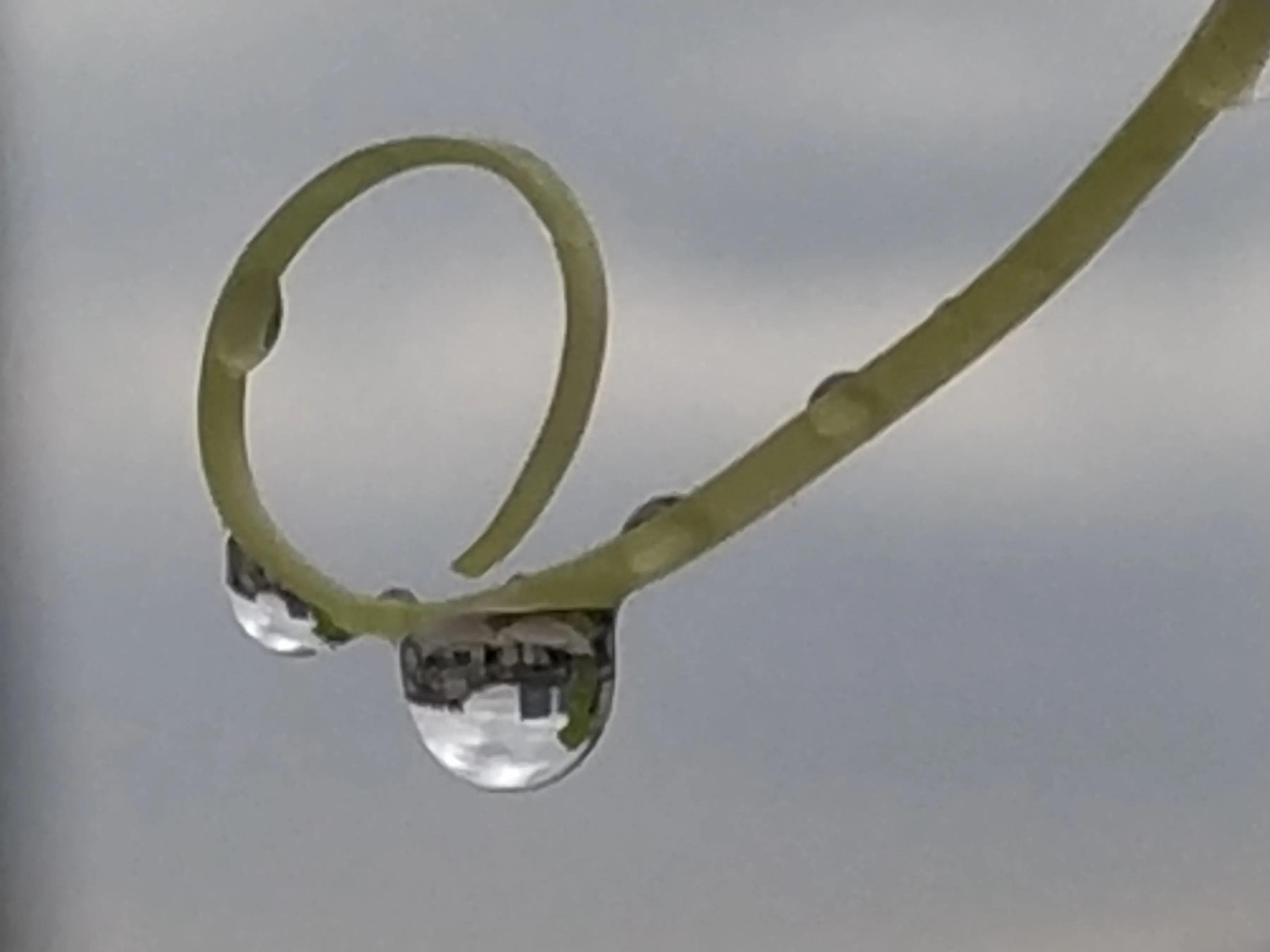 手机摄影手册圈友作品选第7期,手机摄影手册圈友作品选第6期