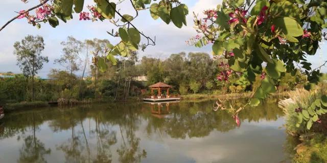 学考120分,可以上这所高质量大学吗?