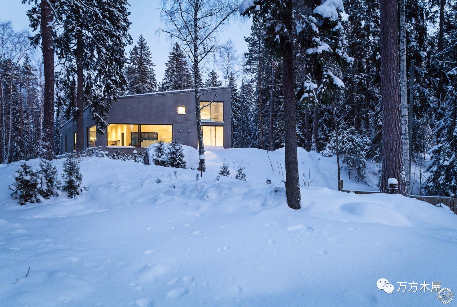 绿林深处美景,绿林深处的美景