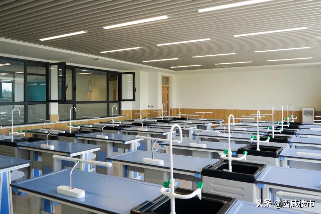新增的231个学位是什么,5年内新增438万公办学位