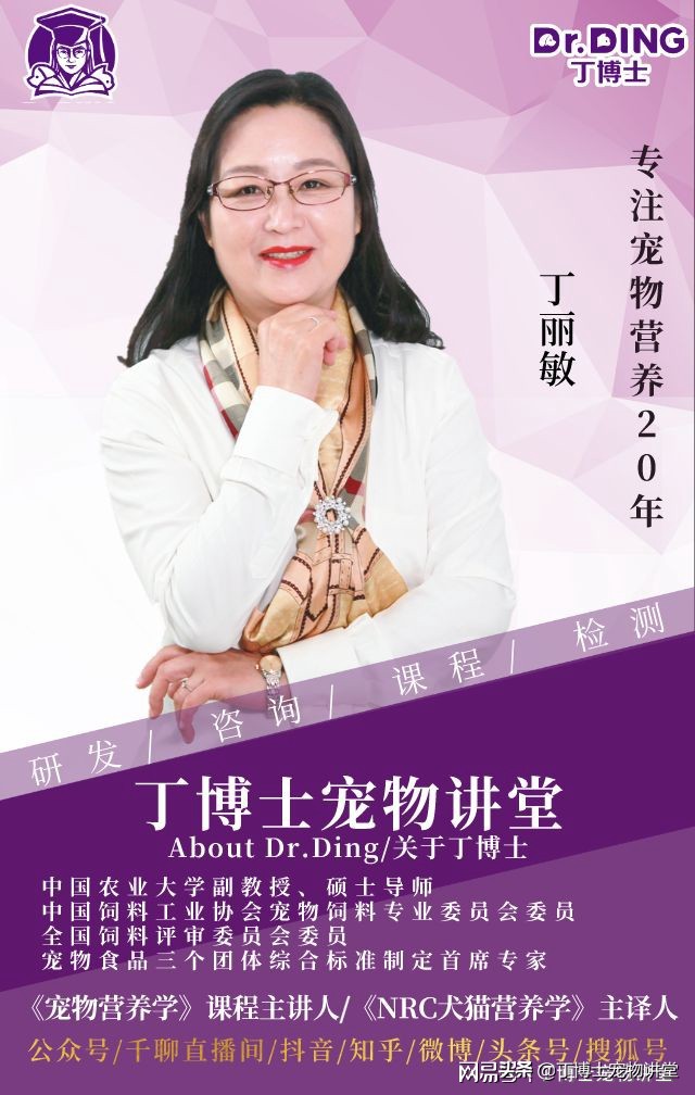 母犬狗狗发情期的生理变化和注意事项