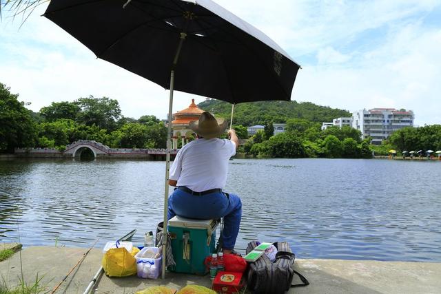 大鱼太多如何钓鲫鱼,大鱼少小鱼多怎么钓