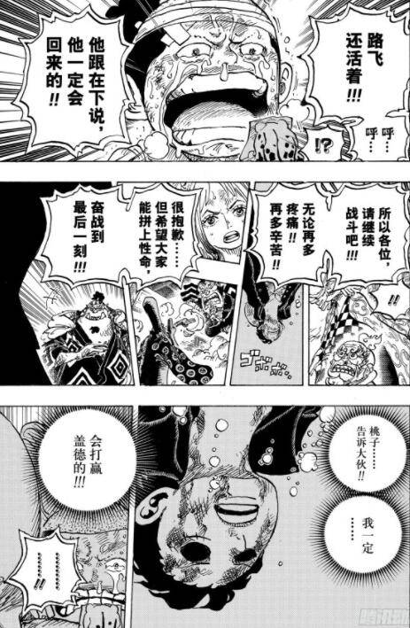 「将军聊斋」海贼王1015-1018话特务队隔岸观火，海上皇再临棋局