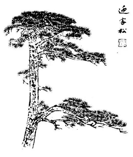 不会画简单的画怎么办,不会画树林的风景画