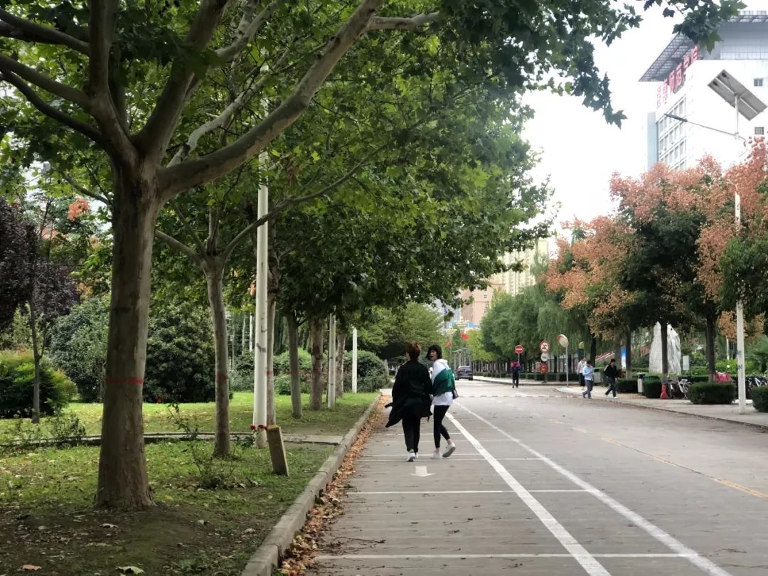 这就是渭南的网红圣地,这就是陕西