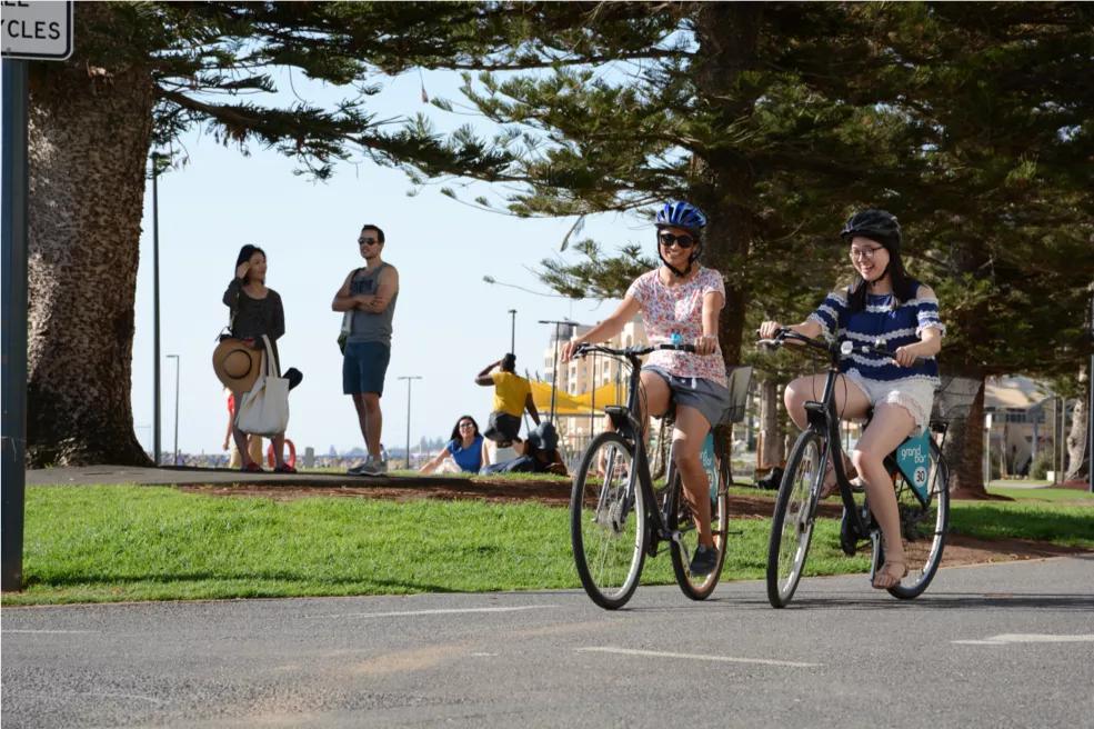 出国留学阿德莱德,为什么选择阿德莱德作为留学地