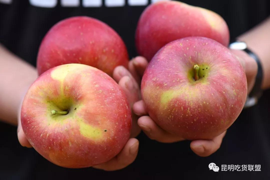 自驾29分钟到，昆明边大片红将军成熟可摘，1口糖心甜蜜又多汁