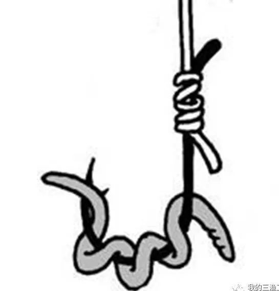 蚯蚓钓鱼挂头还是尾,挂蚯蚓钓鱼绝密配方