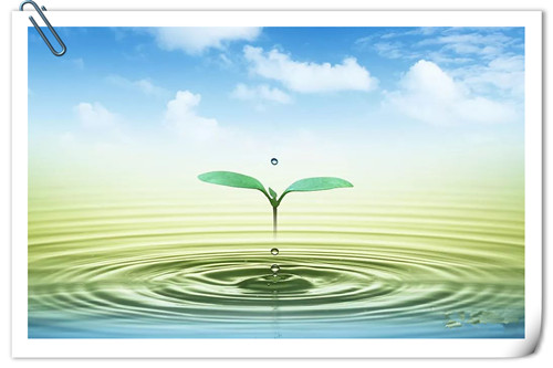 适合年轻人的低成本创业项目,未来5年最适合年轻人创业项目