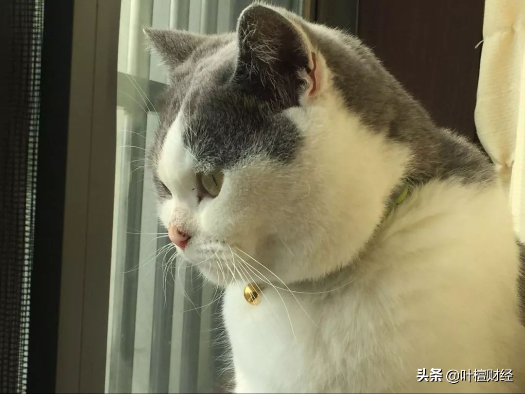 有野心不可怕可怕的是能力赶不上野心！银亿这些年到底怎么了？