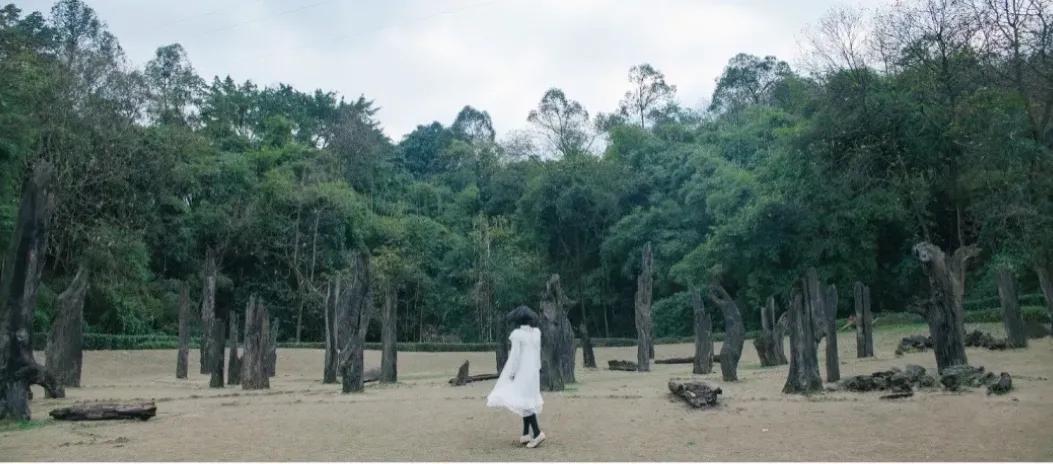 小长假比较适合自驾的山,小长假最强游玩攻略