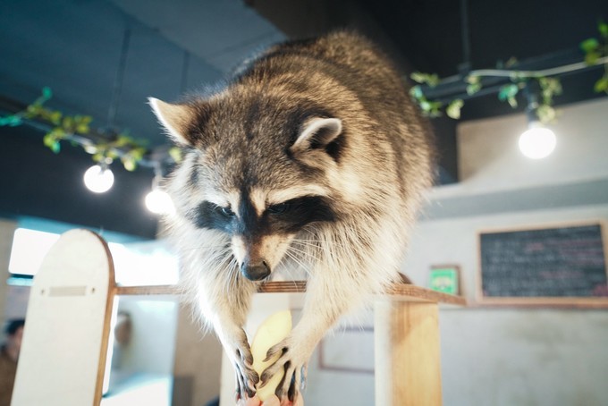 去韩国必买清单,韩国购物攻略衣服
