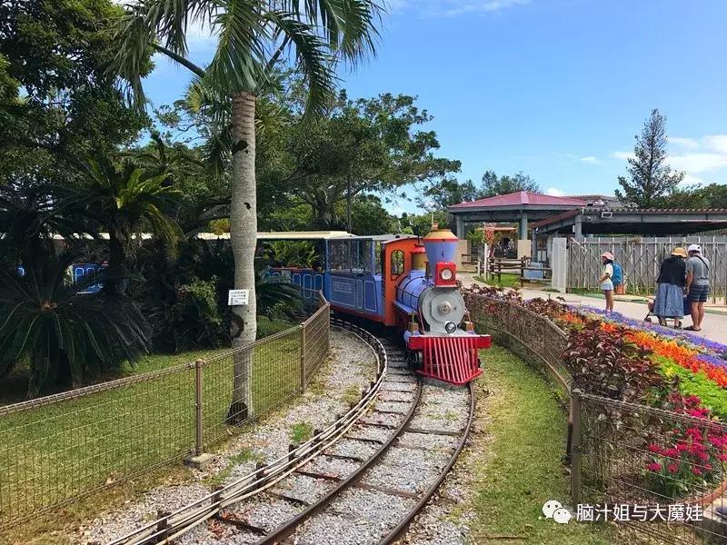 冲绳奥武山公园滑梯,冲绳旅游攻略自由行最新