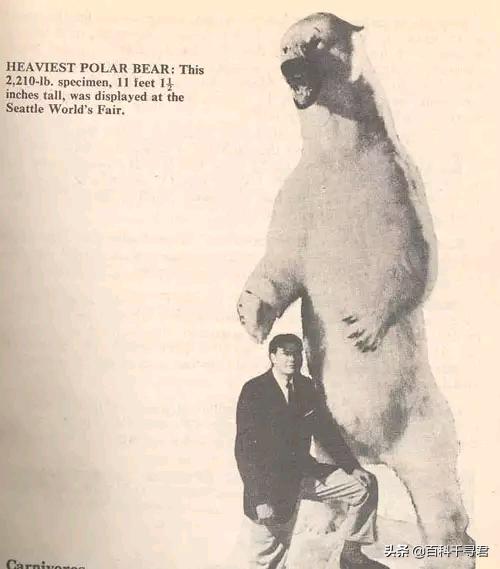 针对网上盛传的各种关于动物的谣言和误解,谈一谈我所了解的真相