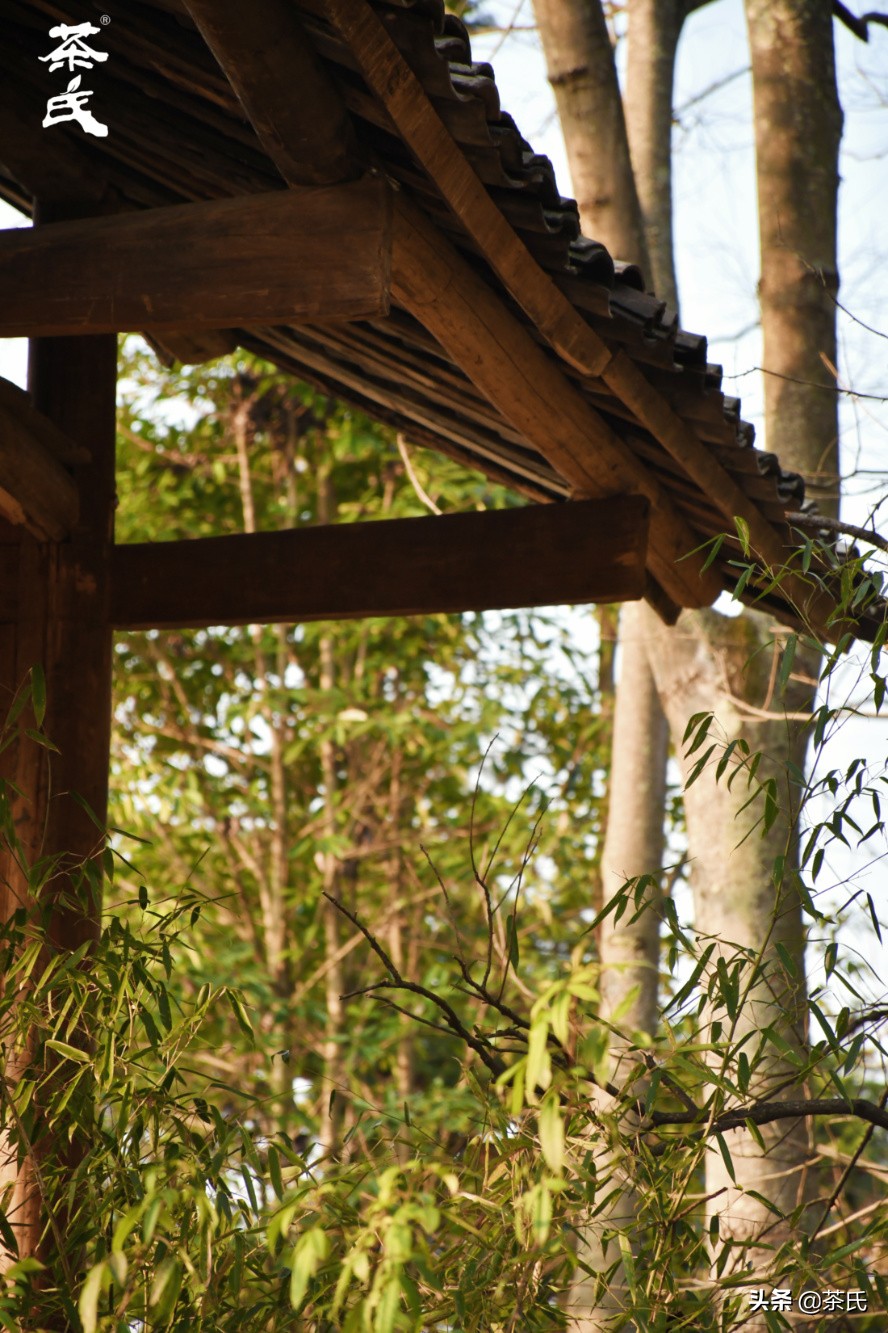 山居生活借山而居,徐州观心山居