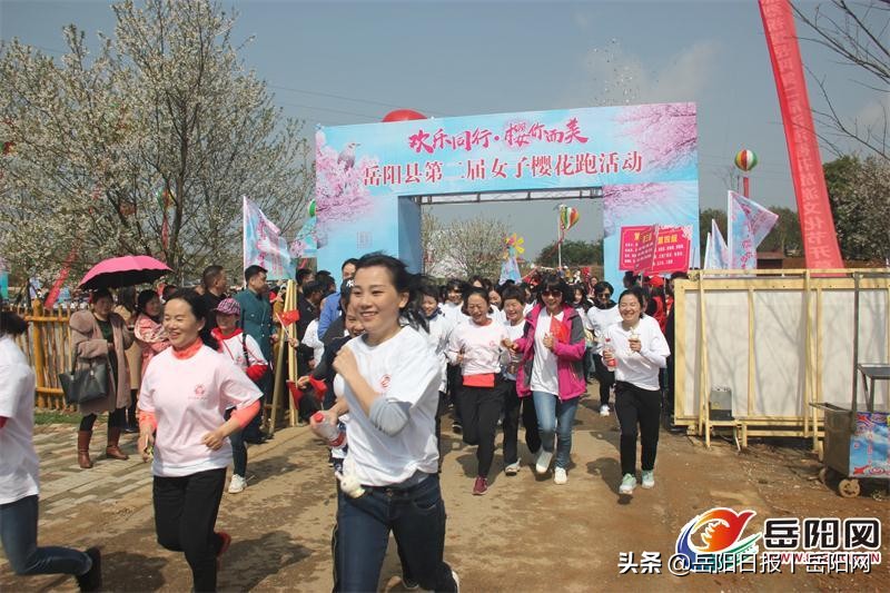 岳阳樱花园最美的地方,到泸州和樱花来一场邂逅